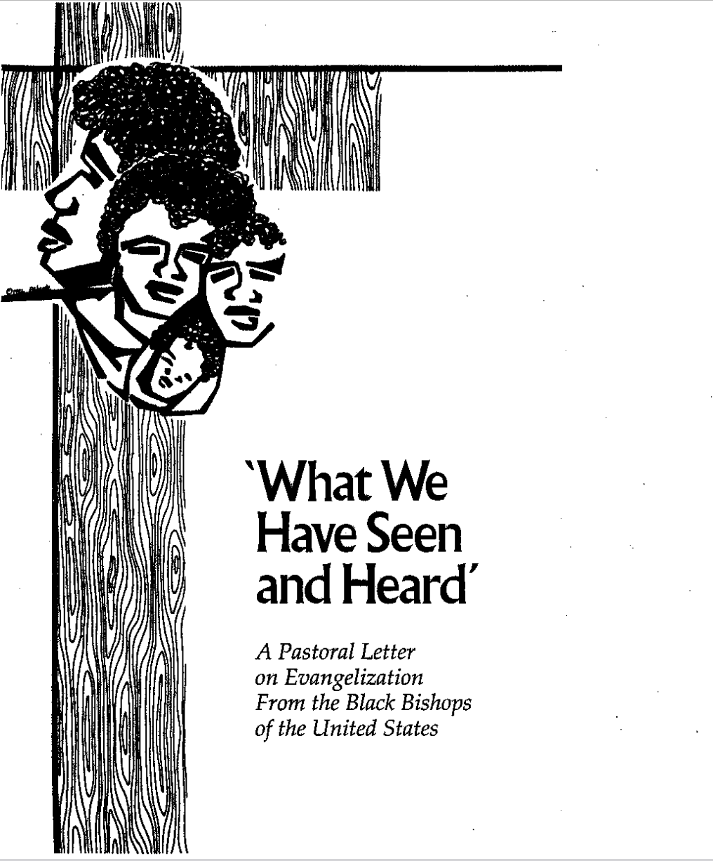 What We Have Seen rand Heard book cover